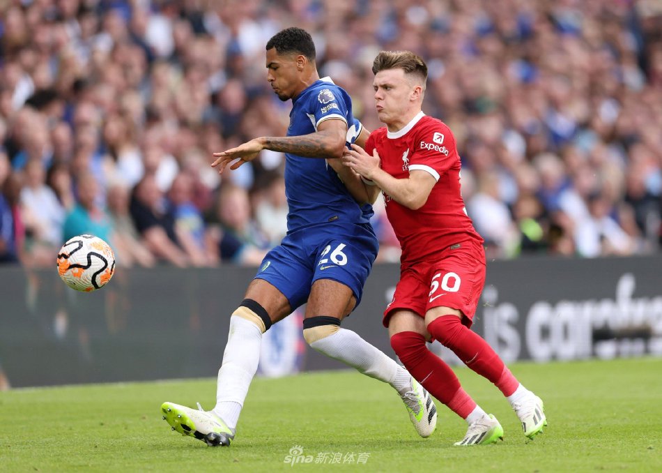 技战术实施 技战术实施